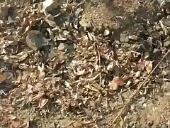 679495 Almond Eyed Princess Finds Joy in Oral Pleasure