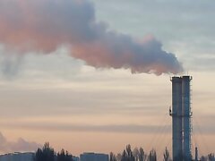 anime hentai sex porn